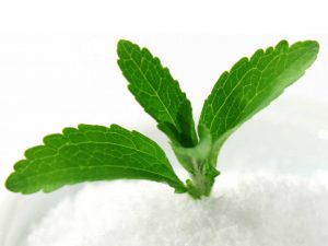 Stevia plant & powder
