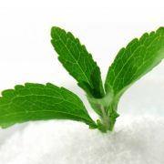 Stevia pflanze pulver - Inka Sweet